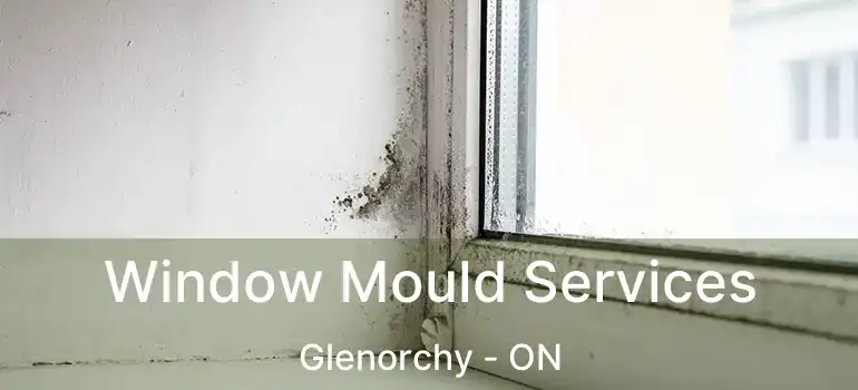  Window Mould Services Glenorchy - ON