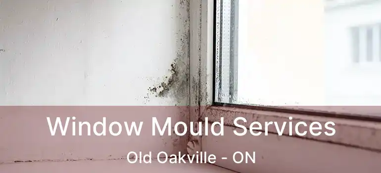  Window Mould Services Old Oakville - ON