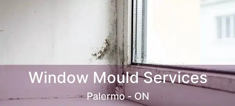  Window Mould Services Palermo - ON