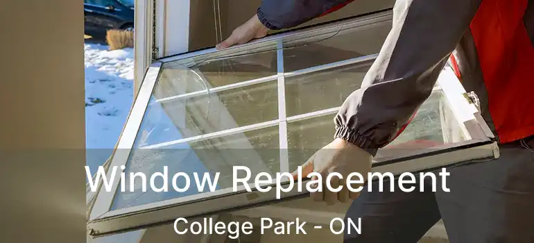  Window Replacement College Park - ON