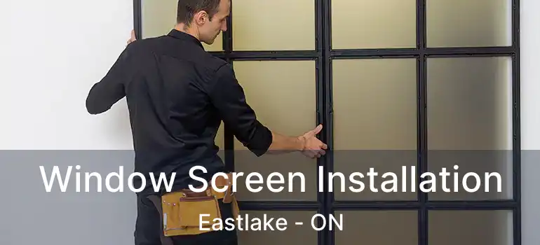  Window Screen Installation Eastlake - ON