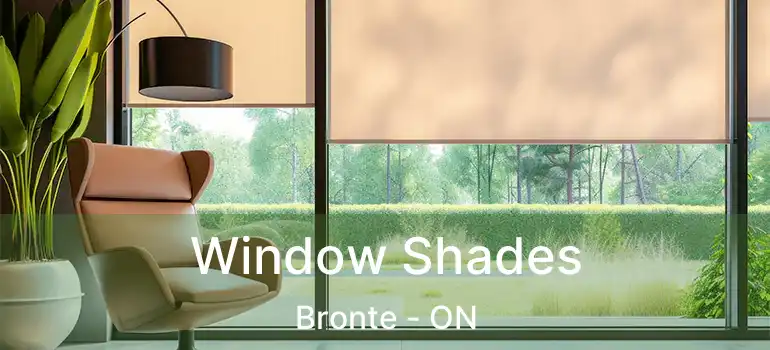  Window Shades Bronte - ON