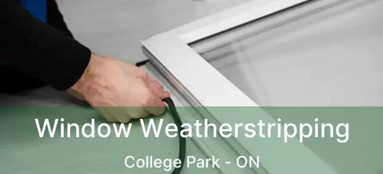  Window Weatherstripping College Park - ON
