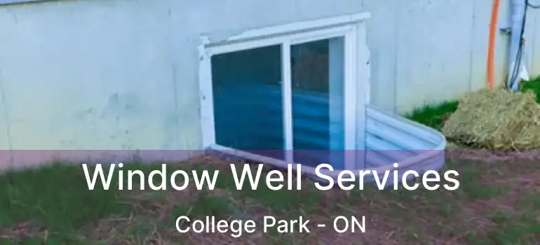  Window Well Services College Park - ON