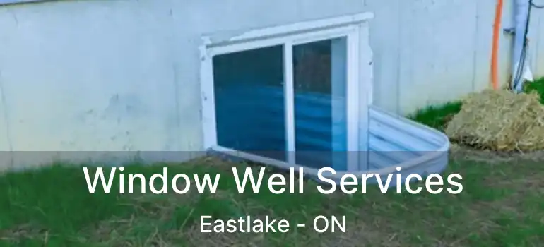  Window Well Services Eastlake - ON