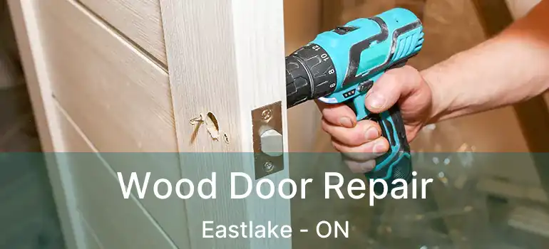  Wood Door Repair Eastlake - ON